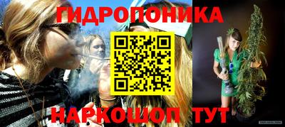 Альфа ПВП Моздок